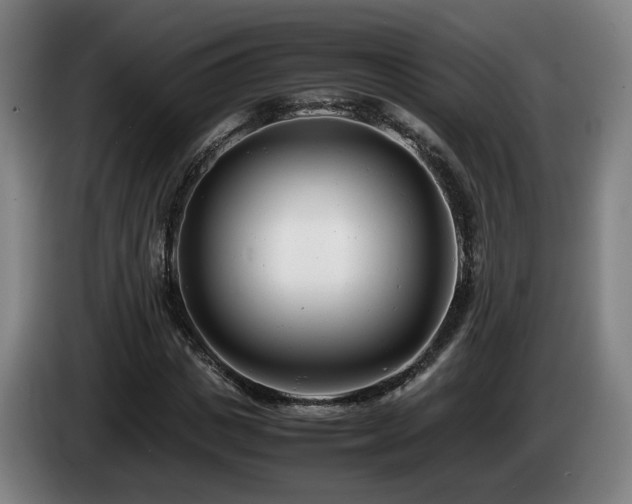 X0000085210825200703091137