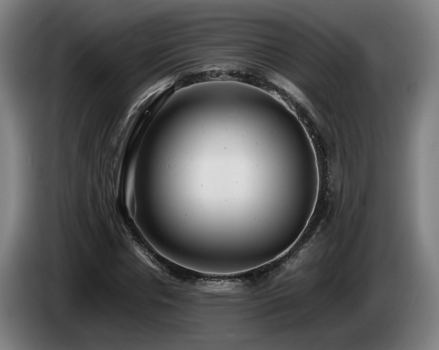 X0000085210826200703091137