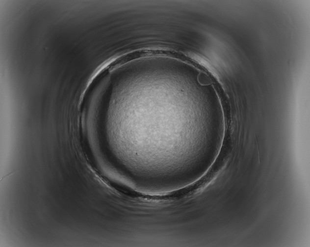 X0000085210829200703091137