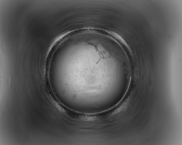 X0000085210831200703091137