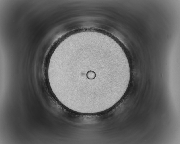 X0000085210832200703091137