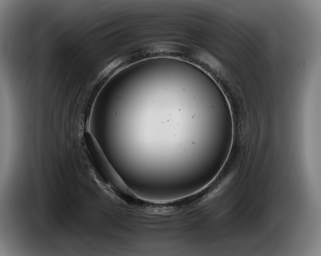 X0000085210833200703091137