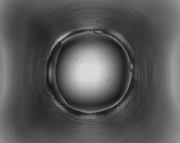 X0000085210834200703091137