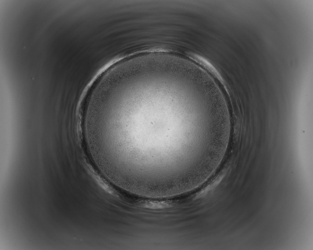 X0000085210835200703091137