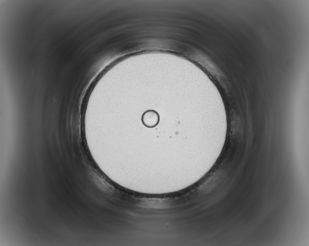 X0000085210836200703091137