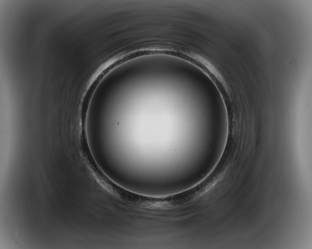 X0000085210837200703091137