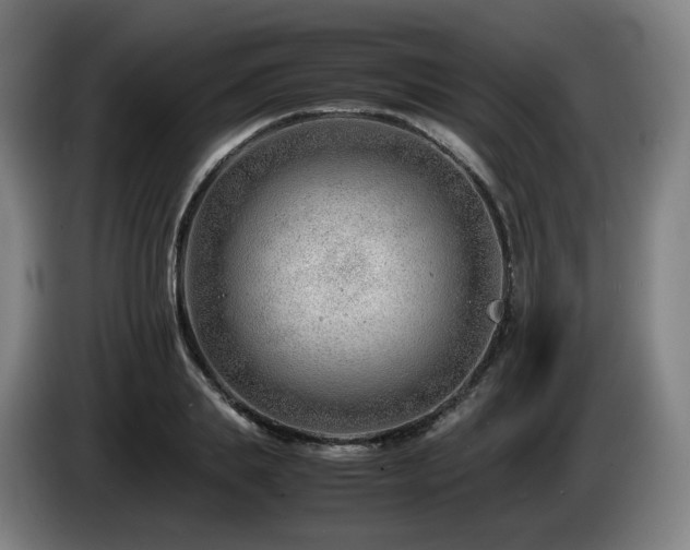 X0000085210839200703091137