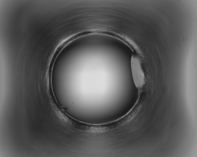 X0000085210840200703091137