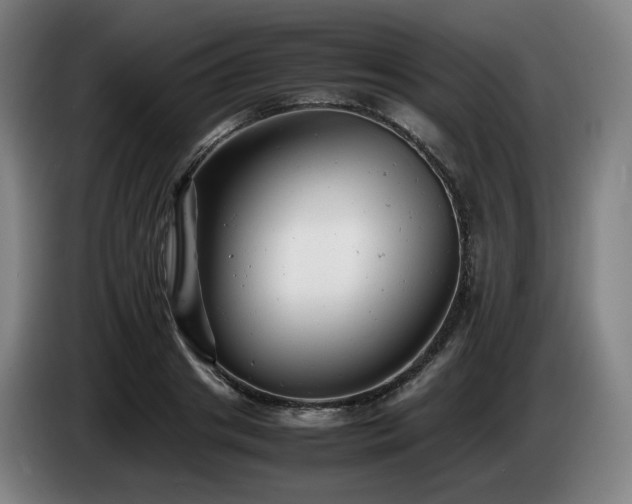 X0000085210841200703091137