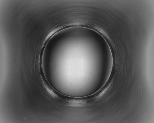 X0000085210842200703091137