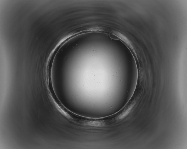 X0000085210843200703091137