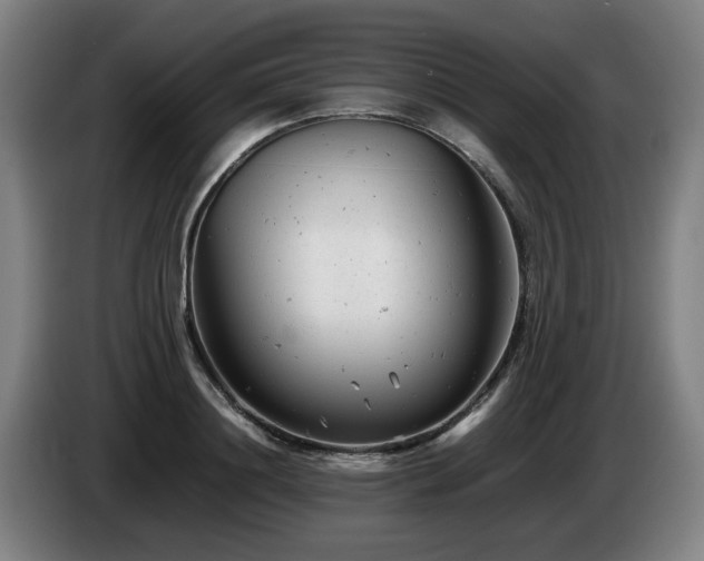 X0000085210844200703091137