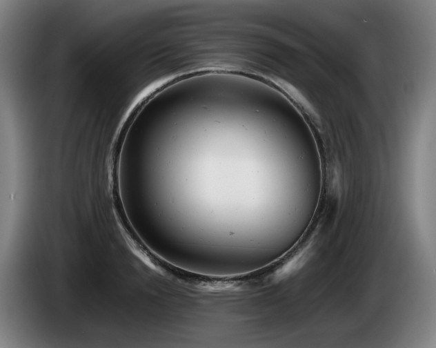 X0000085210846200703091137