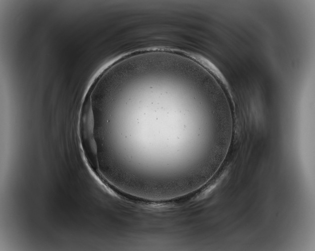 X0000085210847200703091137