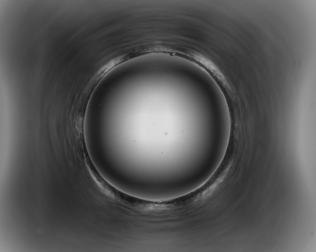 X0000085210849200703091137
