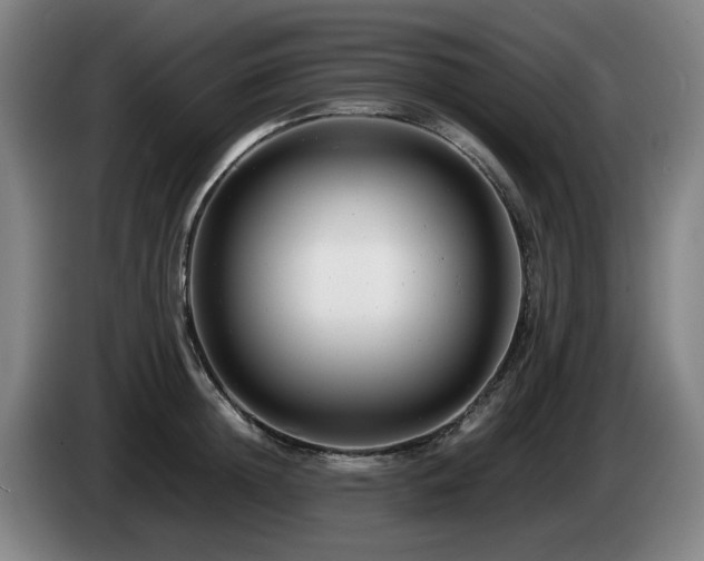 X0000085210852200703091137
