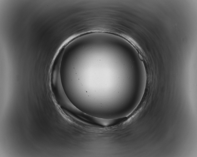 X0000085210854200703091137