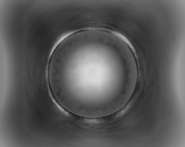 X0000085210855200703091137