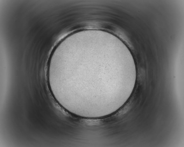 X0000085210856200703091137