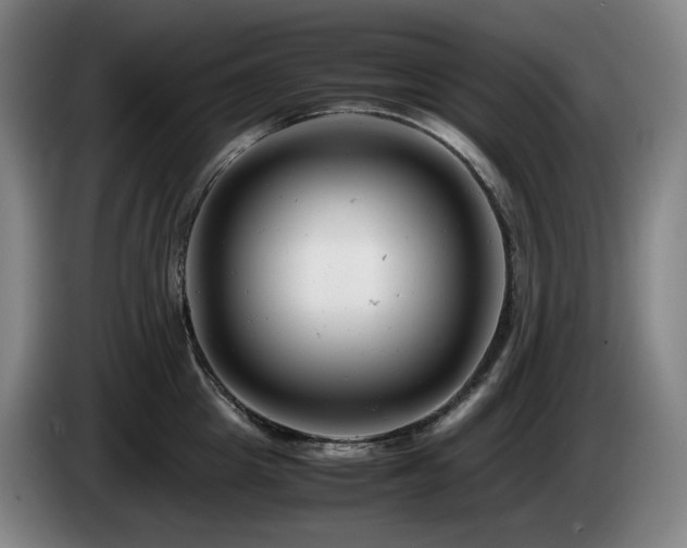 X0000085210857200703091137