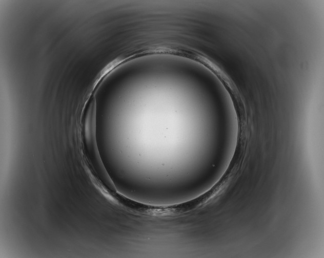 X0000085210858200703091137