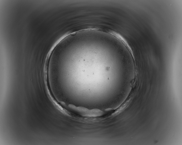 X0000085210859200703091137