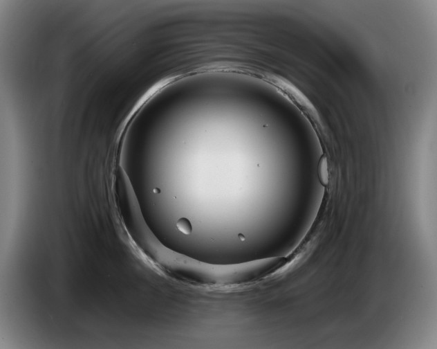 X0000085210860200703091137