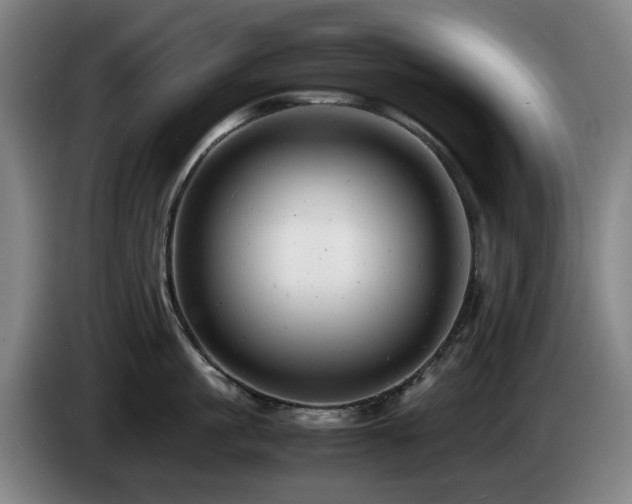X0000085210861200703091137