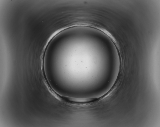 X0000085210862200703091137