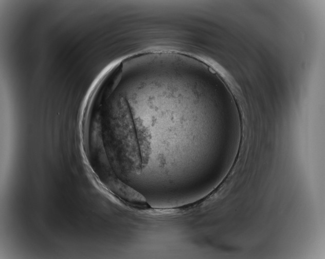X0000085210864200703091137