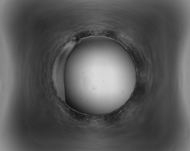 X0000085210865200703091137