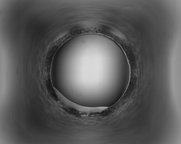 X0000085210869200703091137