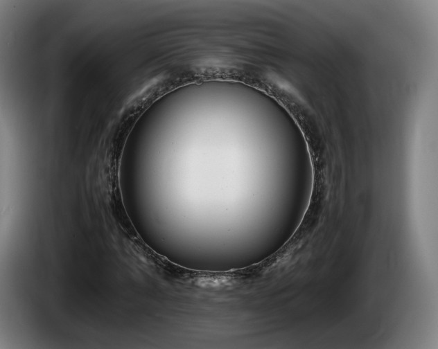 X0000085210870200703091137