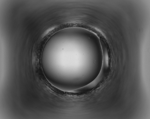 X0000085210872200703091137