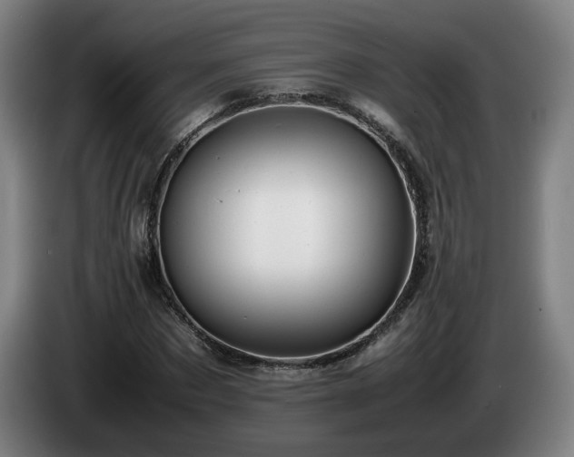 X0000085210873200703091137