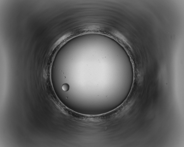 X0000085210874200703091136