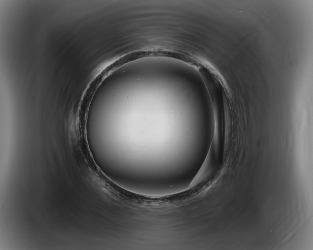 X0000085210876200703091136