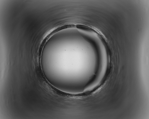 X0000085210877200703091136