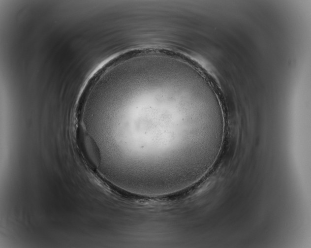 X0000085210879200703091136
