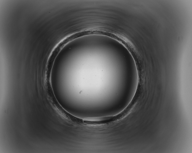 X0000085210880200703091136