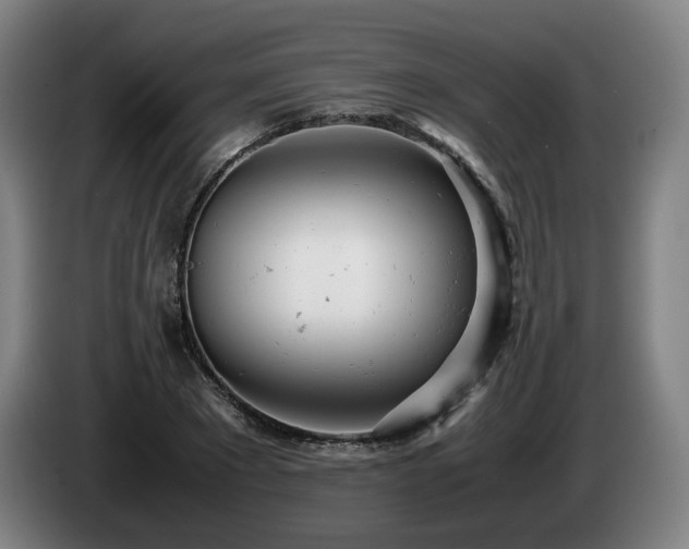 X0000085210881200703091136