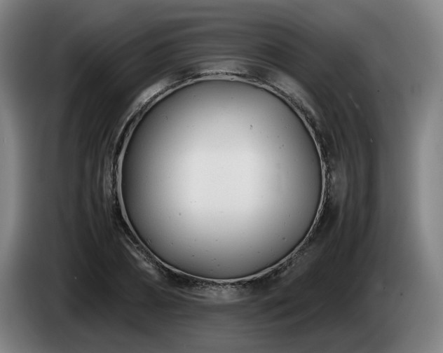 X0000085210882200703091136