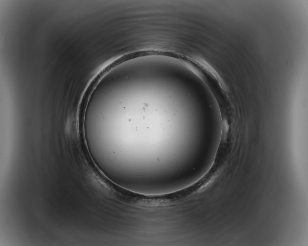 X0000085210884200703091136