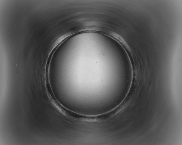 X0000085210890200703091136
