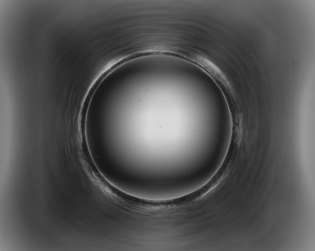 X0000085210892200703091136