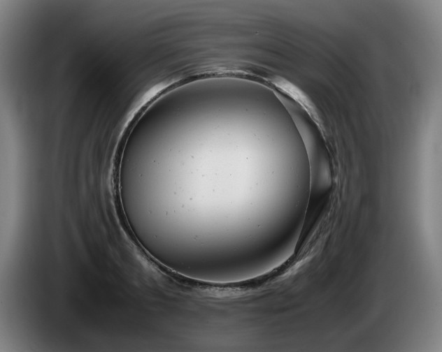 X0000085210893200703091136