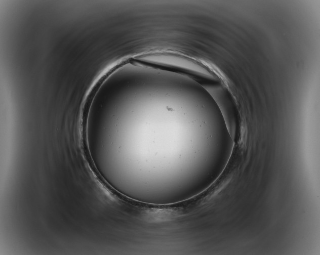X0000085210894200703091136