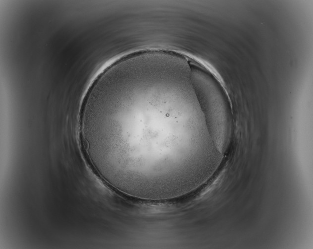 X0000085210895200703091136