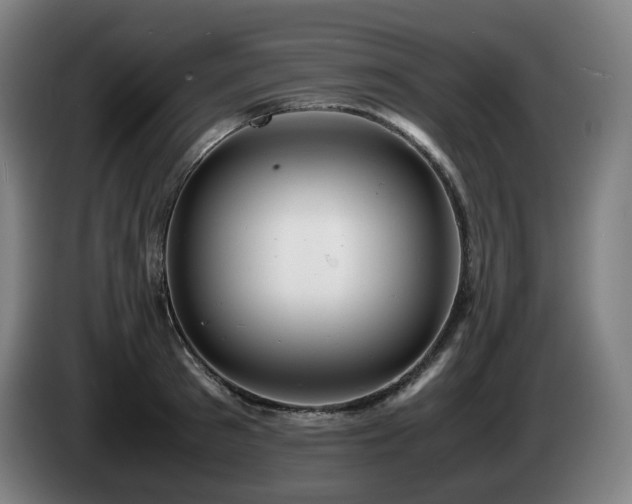 X0000085210897200703091136