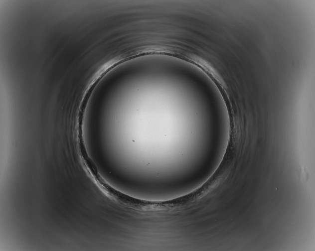 X0000085210898200703091136